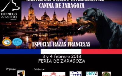 Exposición Internacional de Zaragoza